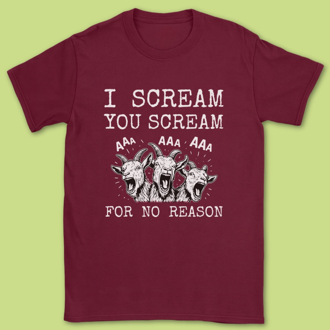 I Scream You Scream T-Shirt